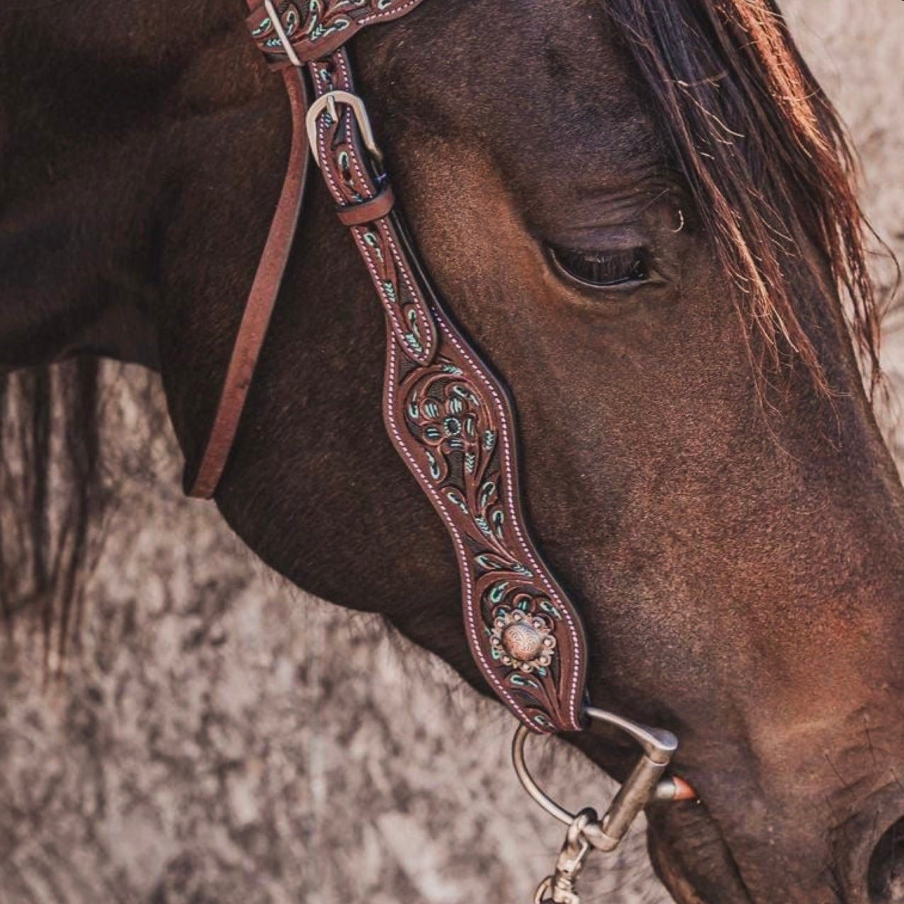 Ensemble De Brides étape Fine – Cuir Marron – Pour Chevaux Paso Fino – Neuf