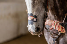 Charger l'image dans la galerie, EquiBreathe™ Equine Nasal Patch - Vegas