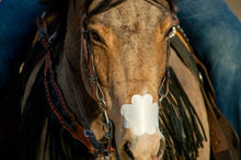 Charger l'image dans la galerie, EquiBreathe™ Equine Nasal Patch - White