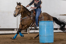 Charger l'image dans la galerie, EquiBreathe™ Equine Nasal Patch - Cheetah