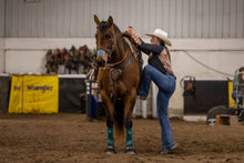 Charger l'image dans la galerie, EquiBreathe™ Equine Nasal Patch - Aztec