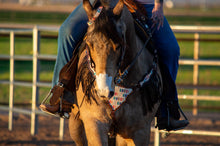 Charger l'image dans la galerie, EquiBreathe™ Equine Nasal Patch - White
