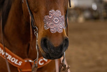 Charger l'image dans la galerie, EquiBreathe™ Equine Nasal Patch - Tooled Leather