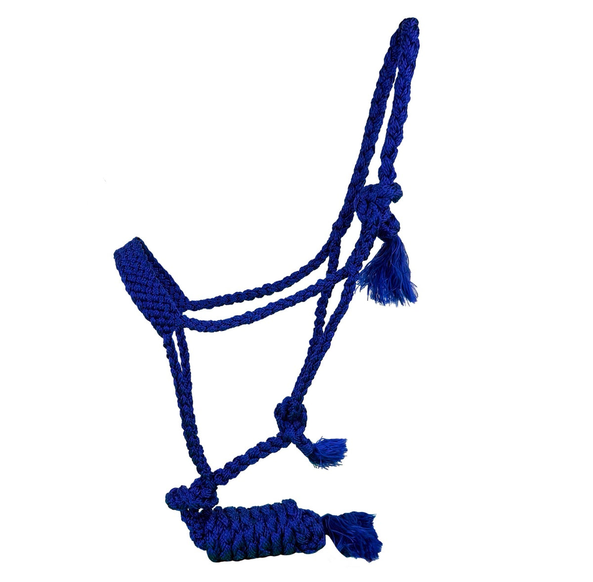 Licol | Mule Tape Bleu Royal