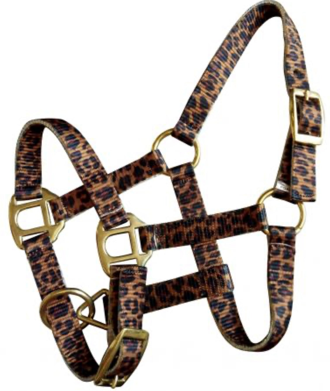 Licol | Mini/Poulain Léopard