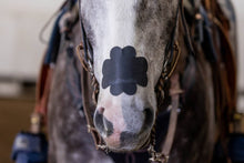 Charger l'image dans la galerie, EquiBreathe™ Equine Nasal Patch - Black