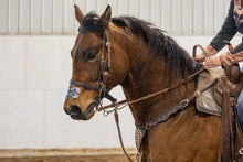Charger l'image dans la galerie, EquiBreathe™ Equine Nasal Patch - Aztec