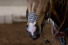 Charger l'image dans la galerie, EquiBreathe™ Equine Nasal Patch - Cheetah