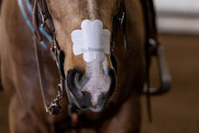 Charger l'image dans la galerie, EquiBreathe™ Equine Nasal Patch - White