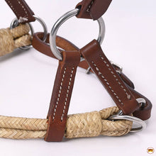 Charger l'image dans la galerie, BIENTÔT DISPONIBLES | Bride Sidepull | Cuir Rawhide