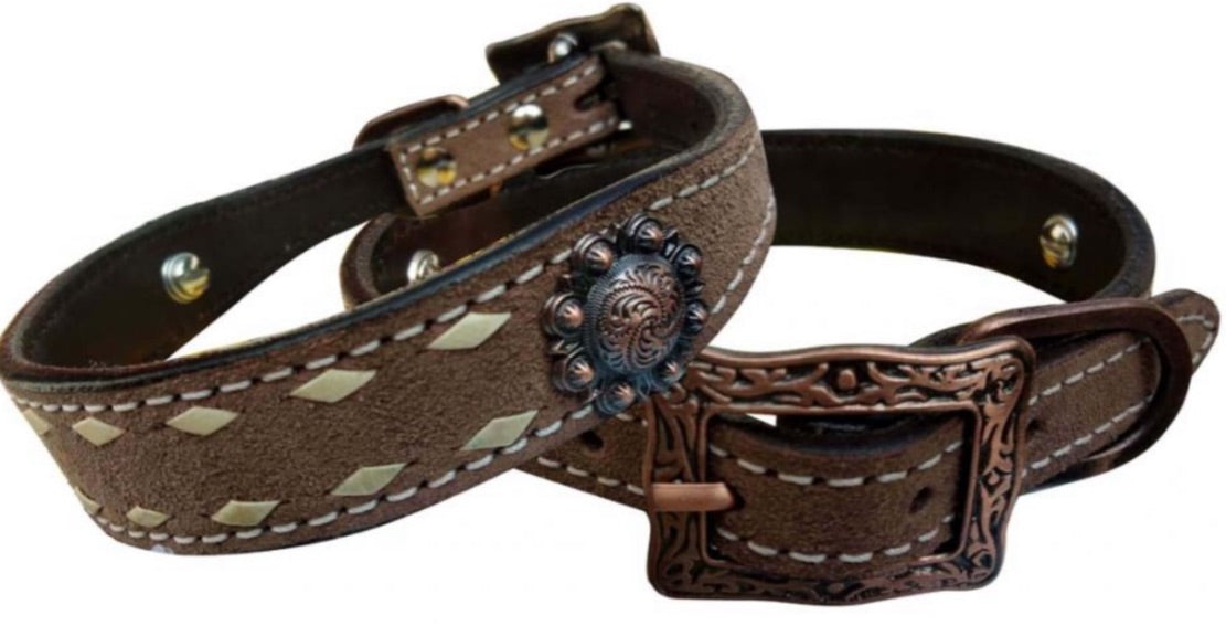 Dog Collar | White Buckstitch