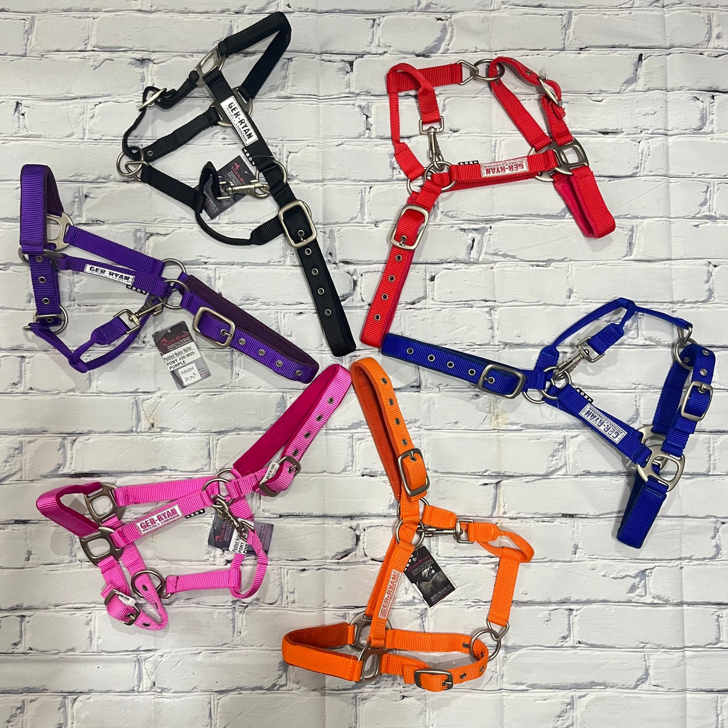 <tc>Halter | Pony</tc>