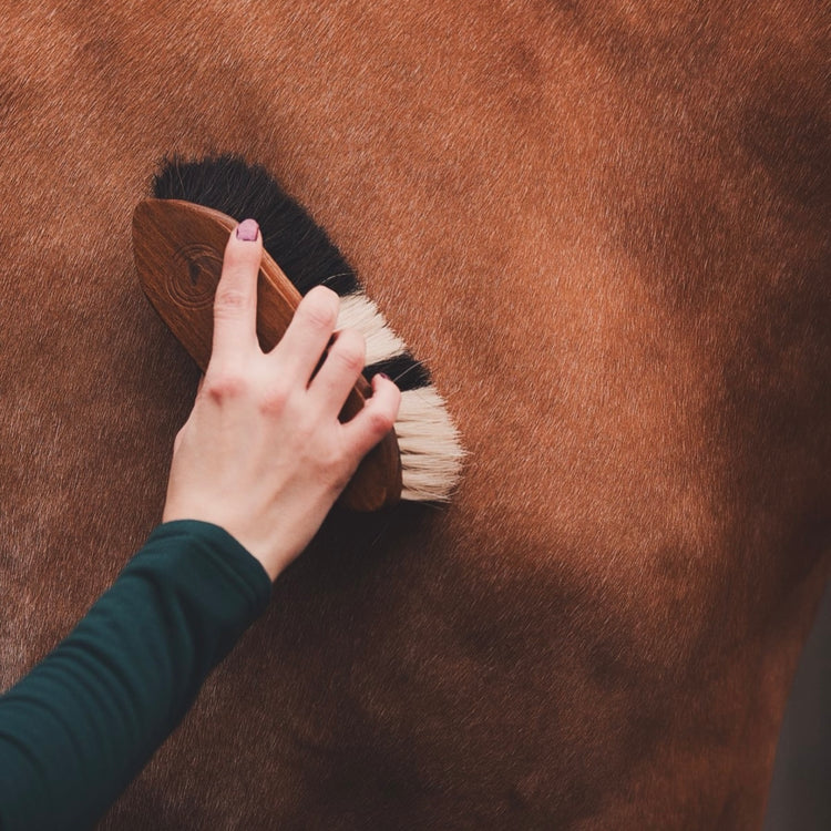 Produits et Pansages