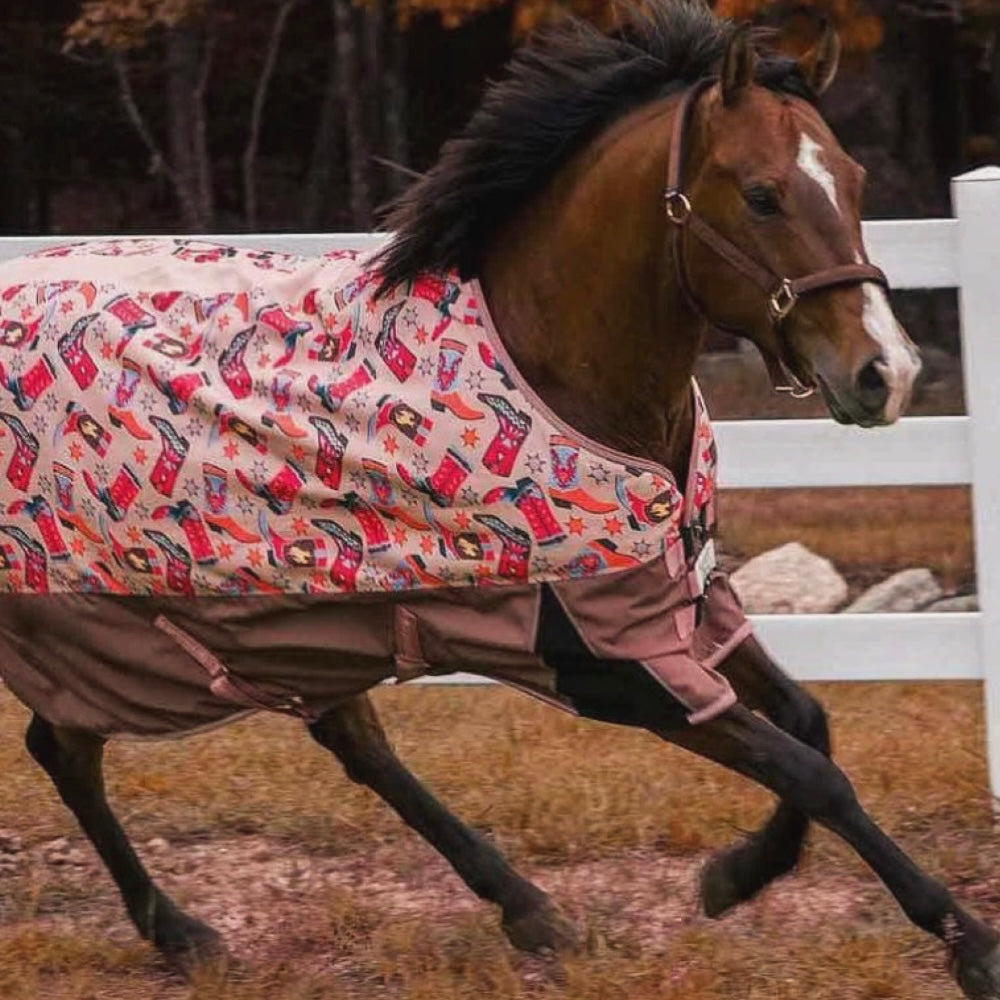 Couvertures & Masques