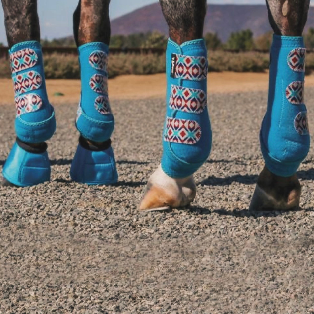 Protections pour Chevaux