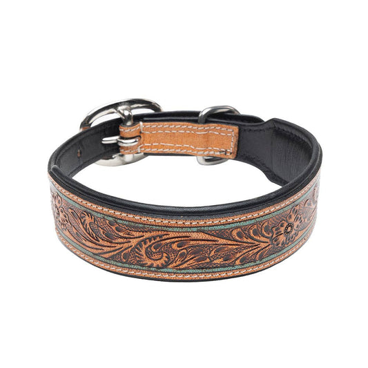 Collier à Chien | Trusted Amigo