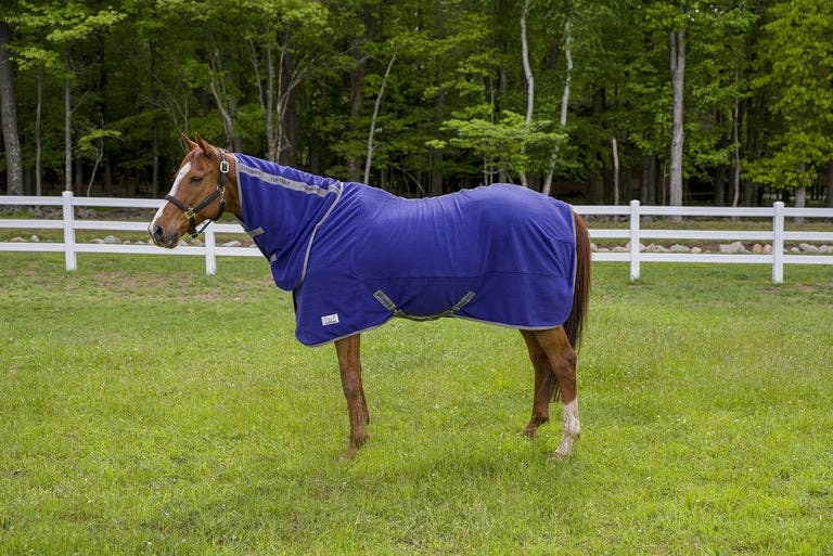 Tuffrider | Cooler | Sheet Combo Deep Wisteria
