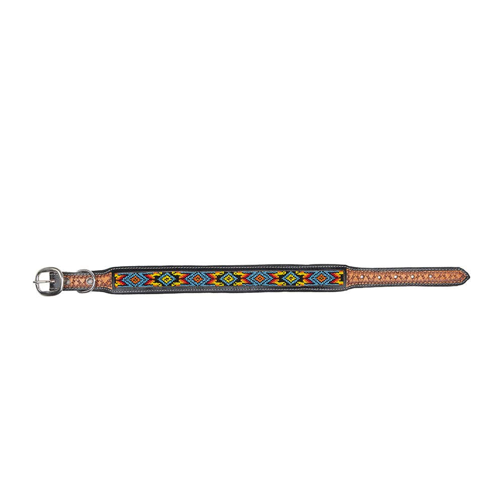 Collier à Chien | Dodger