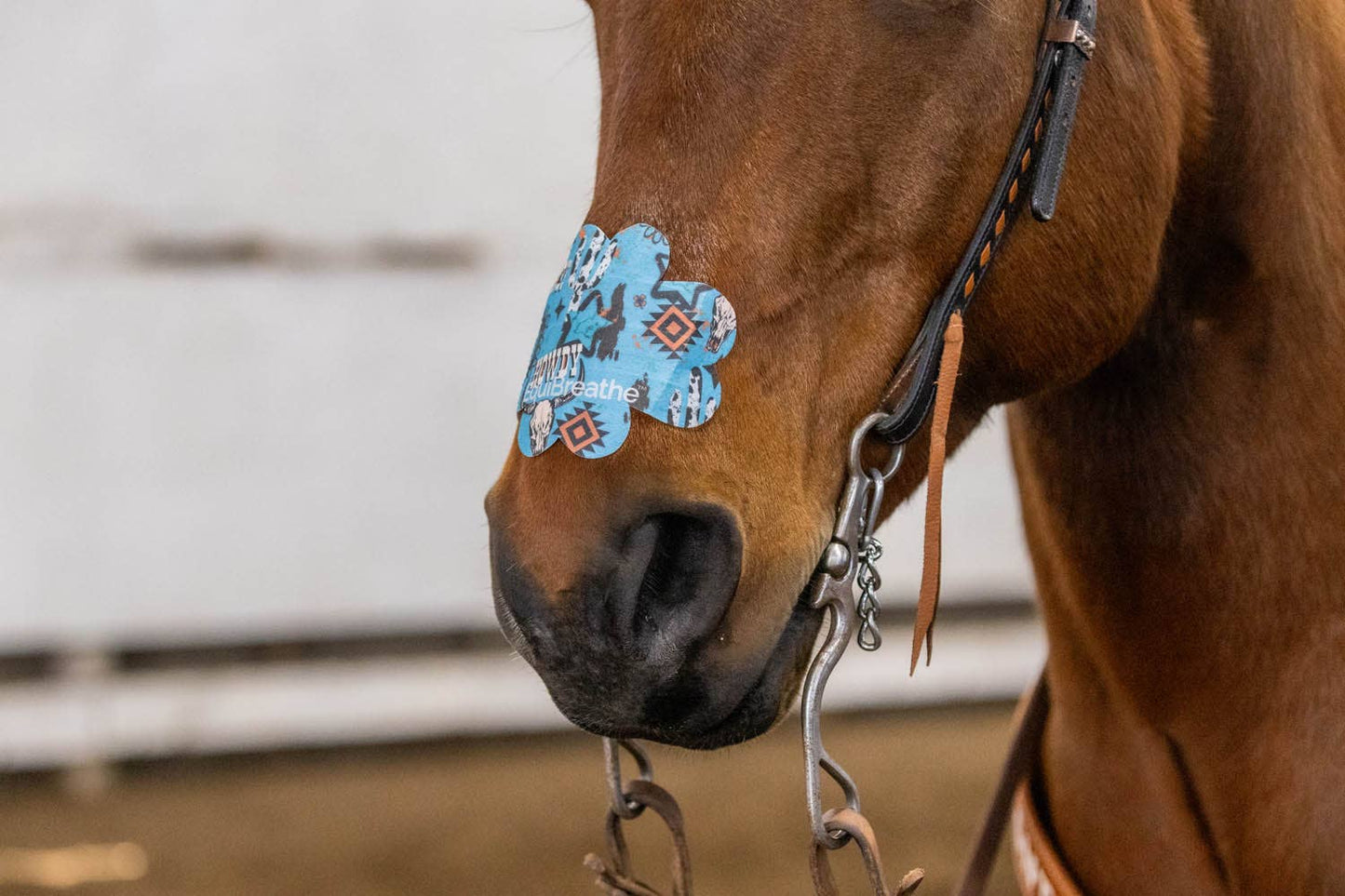 EquiBreathe™ Equine Nasal Patch - Howdy