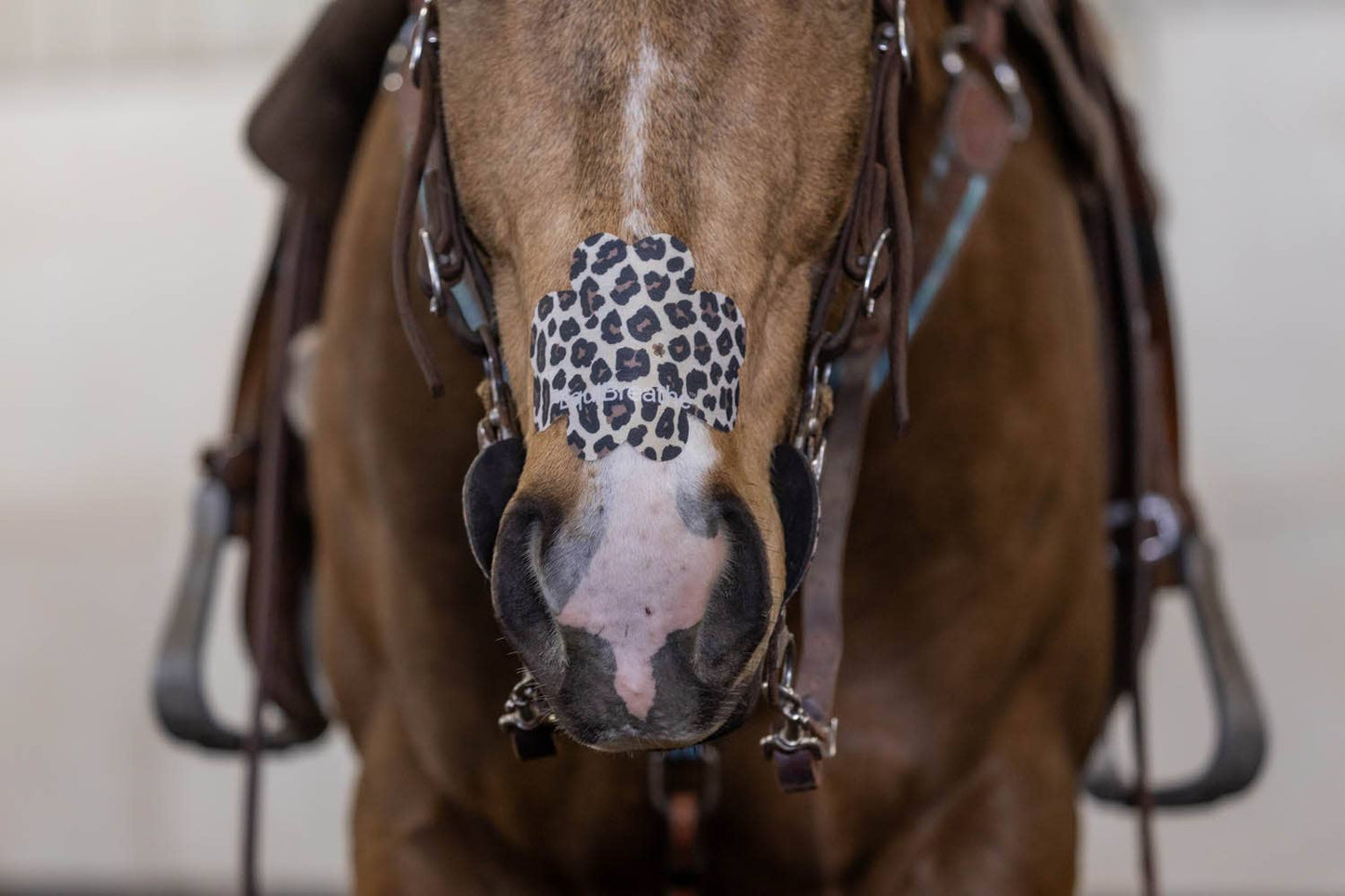 EquiBreathe™ Equine Nasal Patch - Cheetah