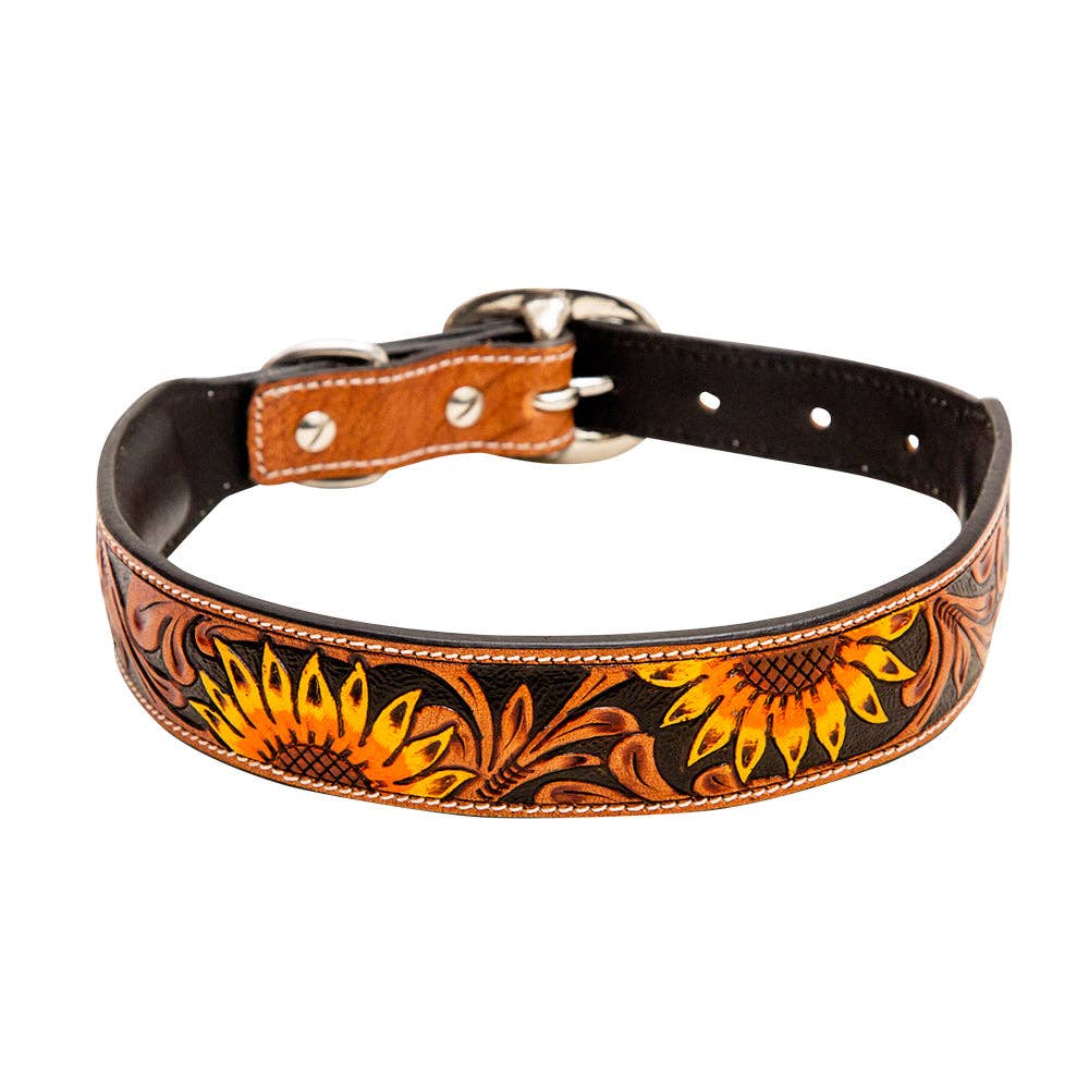 Collier à Chien | Zoomper