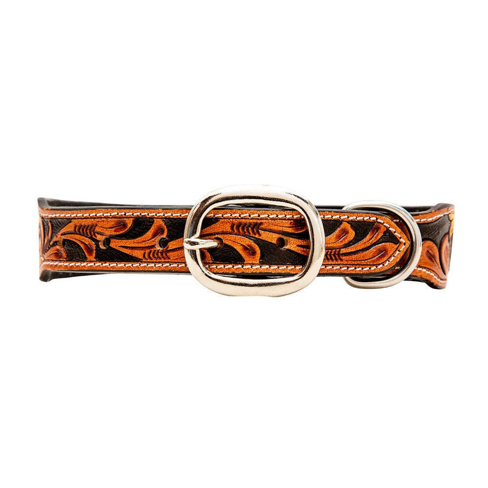 Collier à Chien | Zoomper