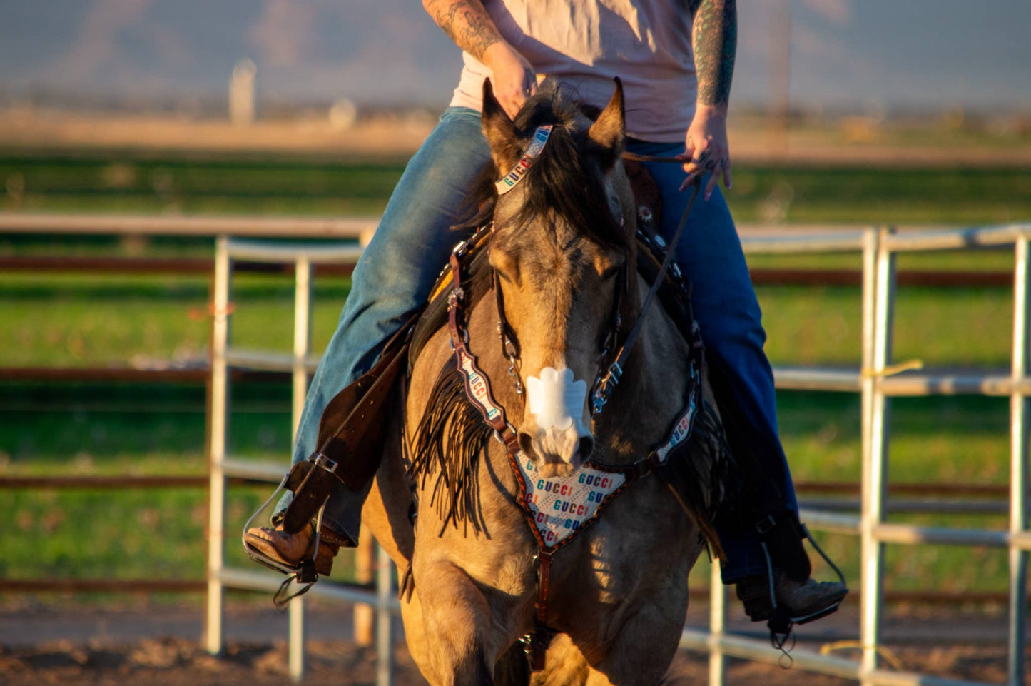 EquiBreathe™ Equine Nasal Patch - White