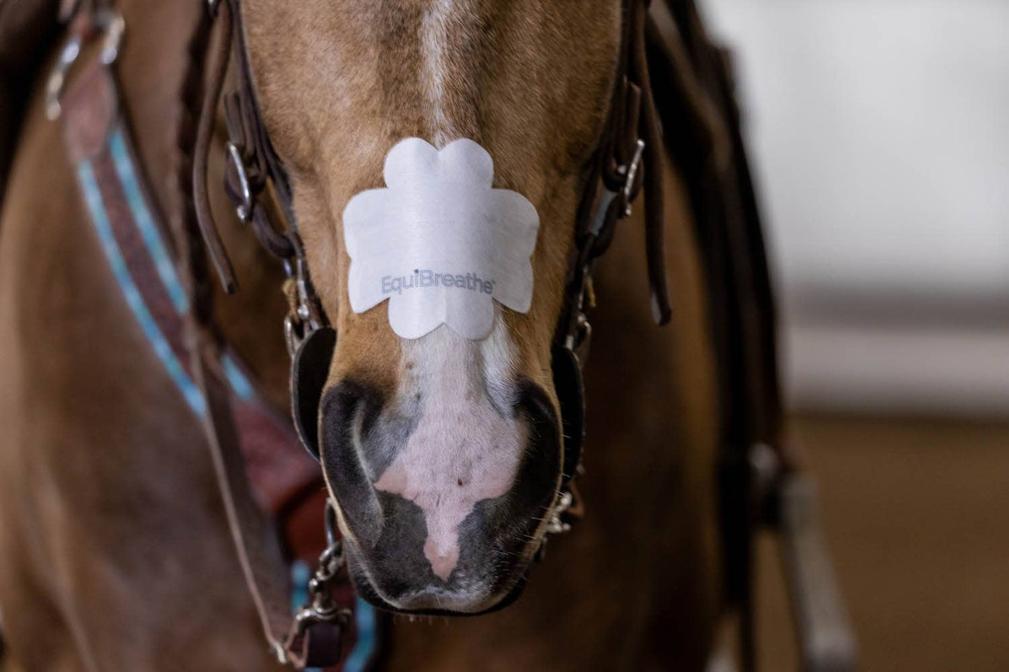 EquiBreathe™ Equine Nasal Patch - White