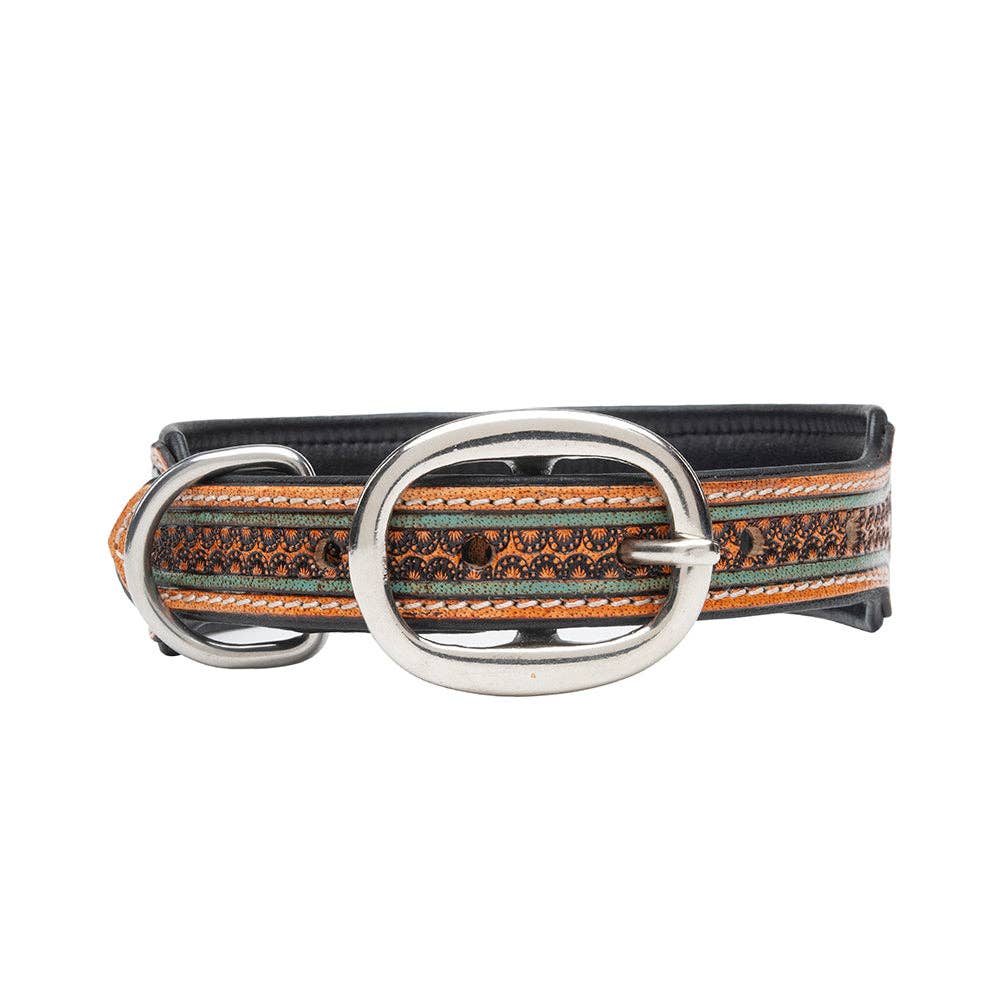 Collier à Chien | Trusted Amigo