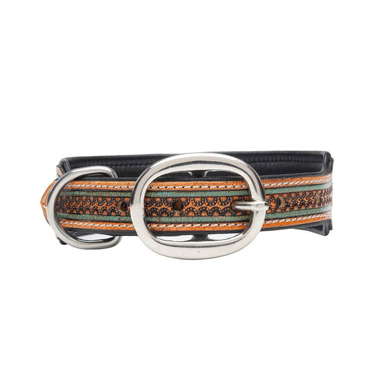 Collier à Chien | Trusted Amigo