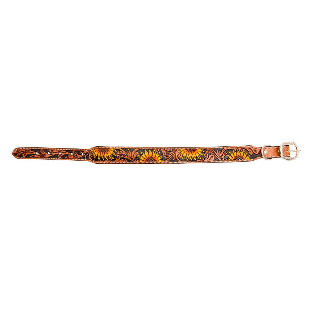 Collier à Chien | Zoomper