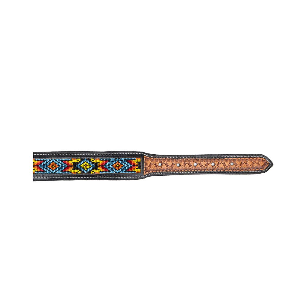 Collier à Chien | Dodger