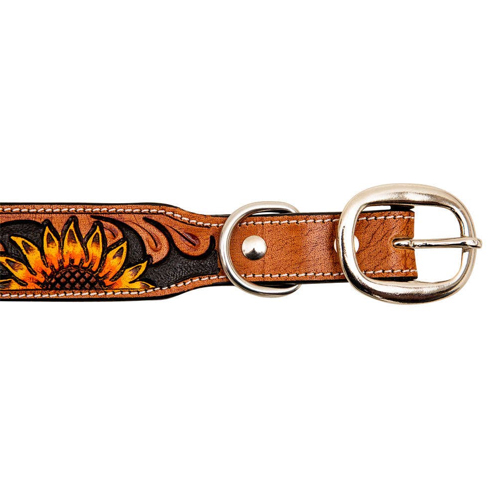 Collier à Chien | Zoomper