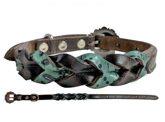 Collier à Chien | Tressé Turquoise