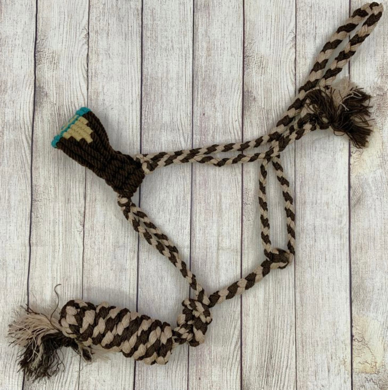 Licol | Mule Tape Tan & Brown Noseband