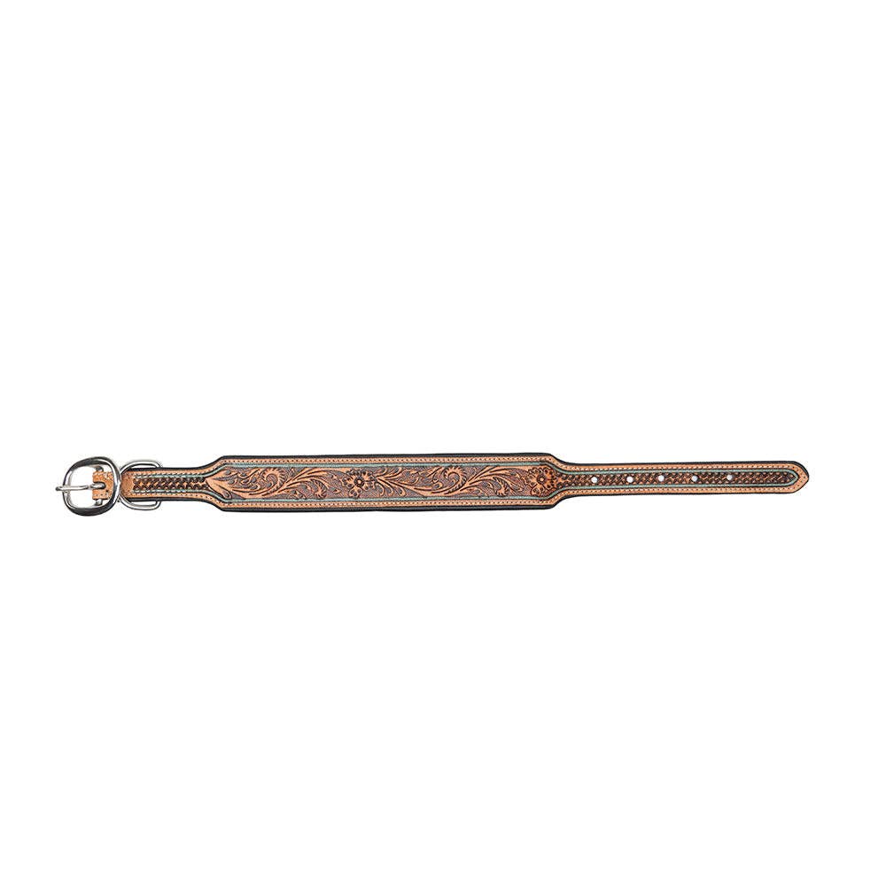 Collier à Chien | Trusted Amigo