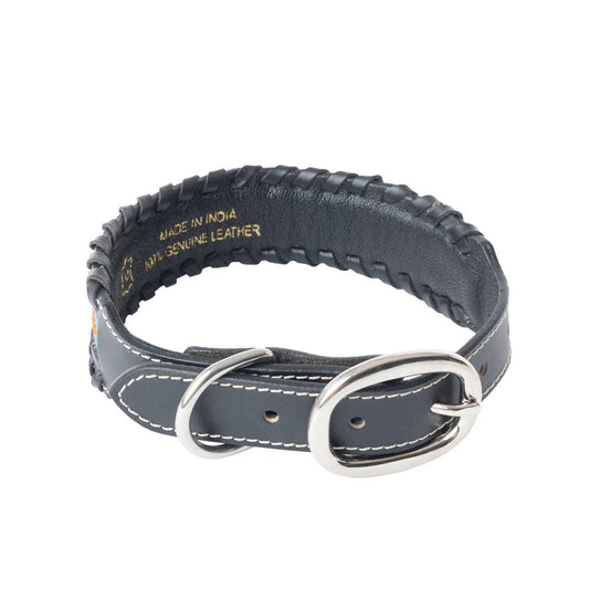 Collier à Chien | Running Wind