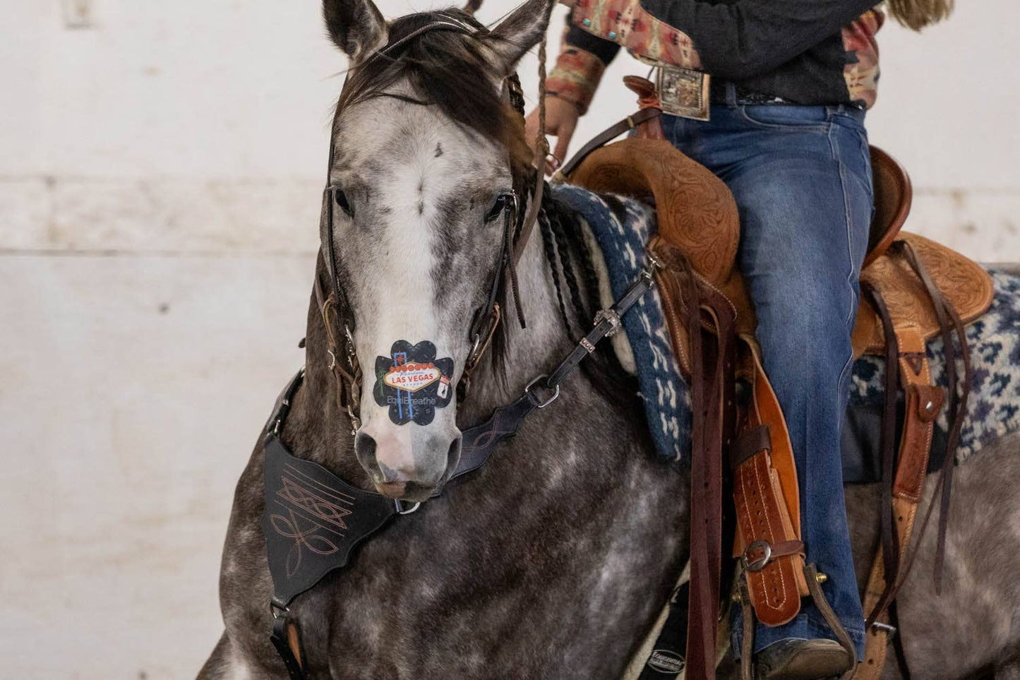 EquiBreathe™ Equine Nasal Patch - Vegas