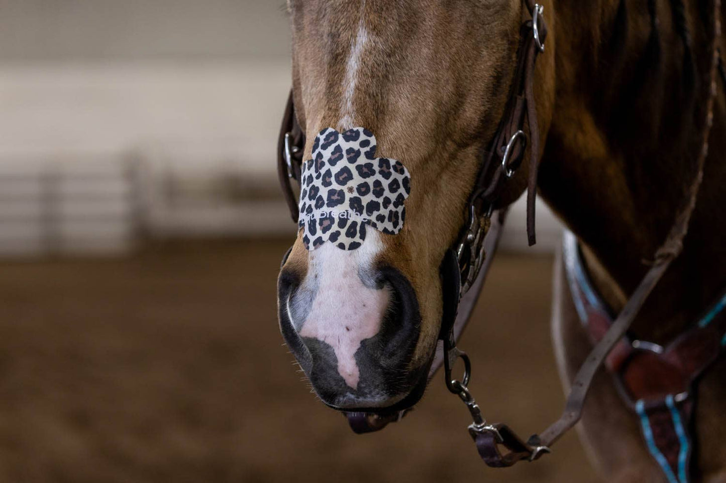 EquiBreathe™ Equine Nasal Patch - Cheetah