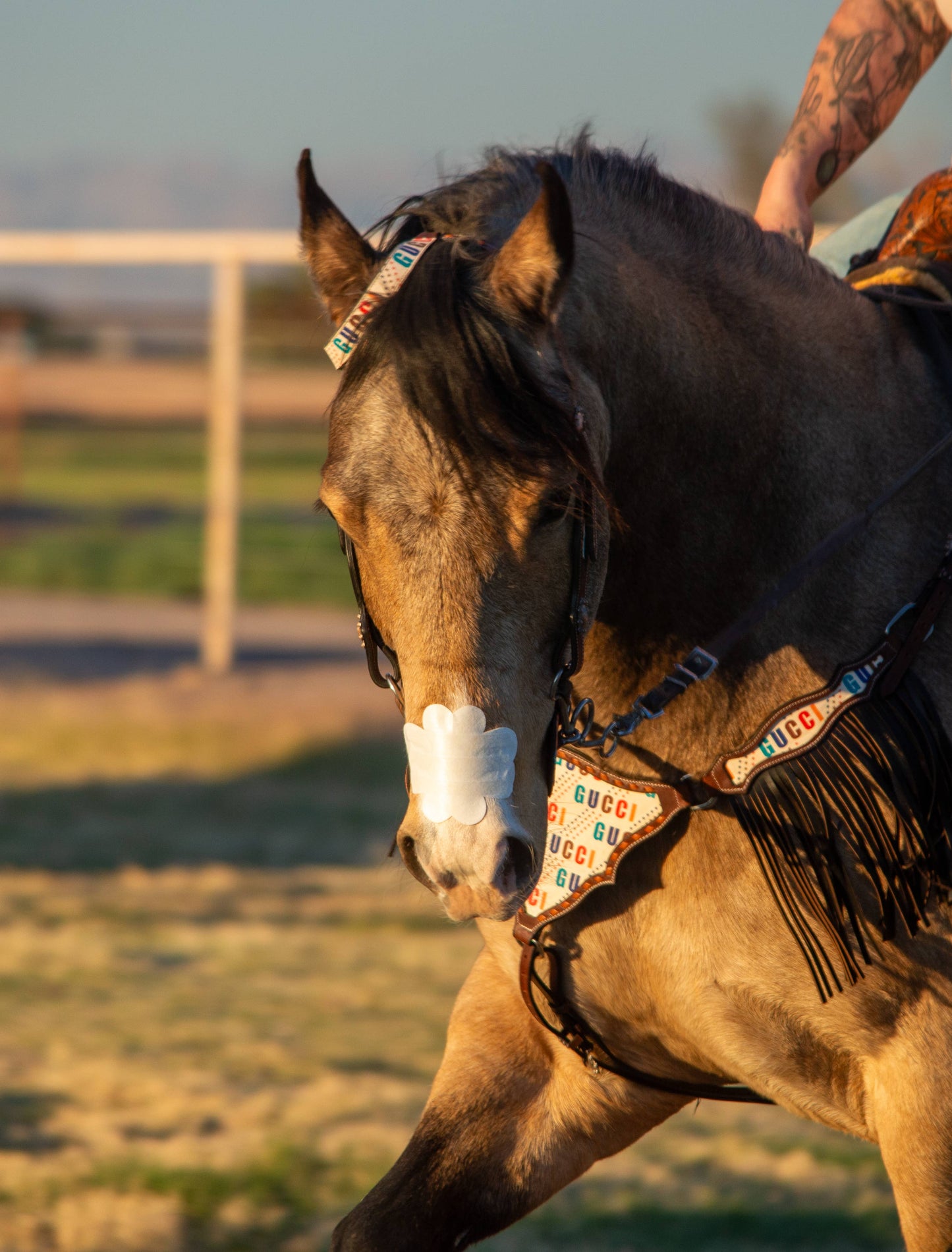 EquiBreathe™ Equine Nasal Patch - White