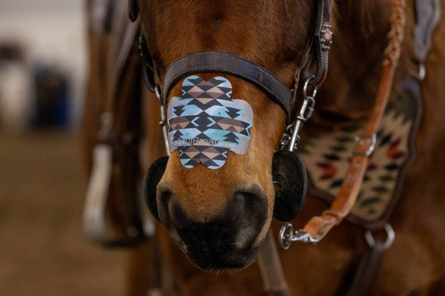 EquiBreathe™ Equine Nasal Patch - Aztec