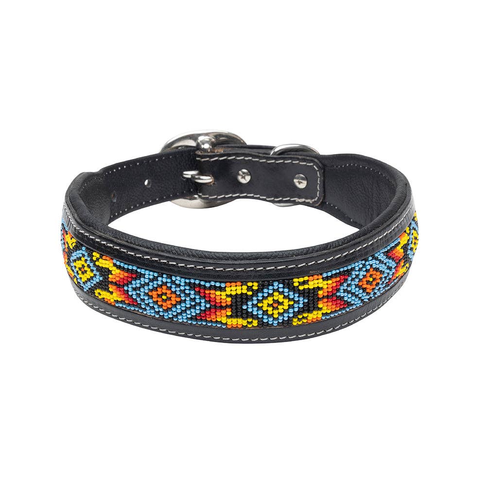 Collier à Chien | Dodger