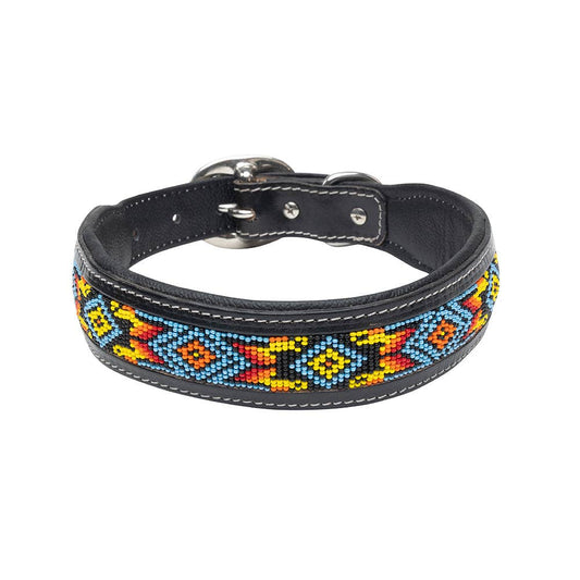Collier à Chien | Dodger