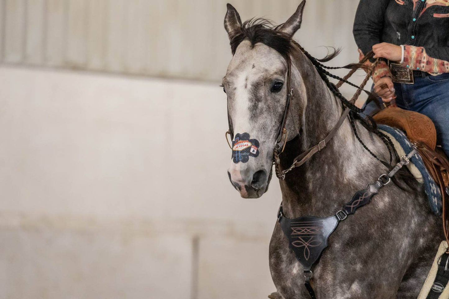 EquiBreathe™ Equine Nasal Patch - Vegas