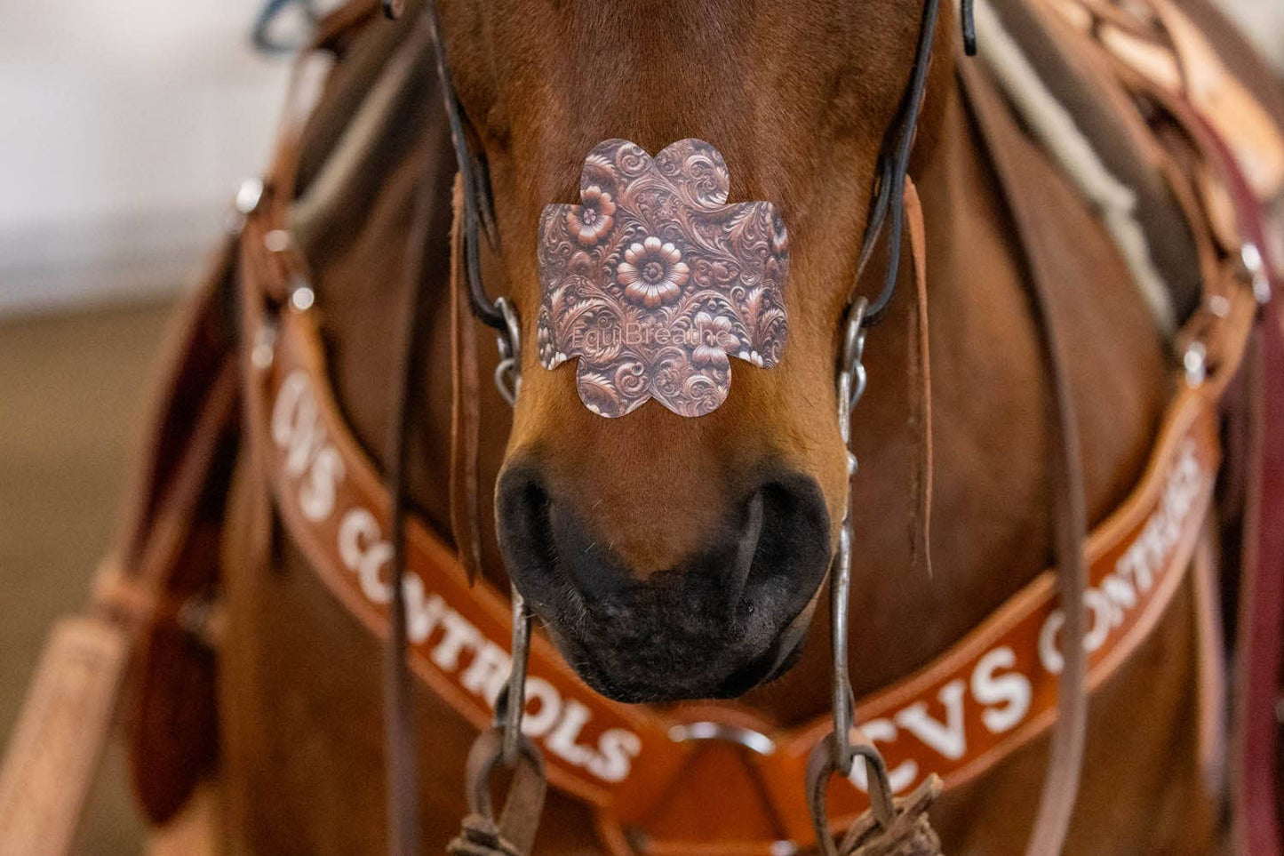 EquiBreathe™ Equine Nasal Patch - Tooled Leather