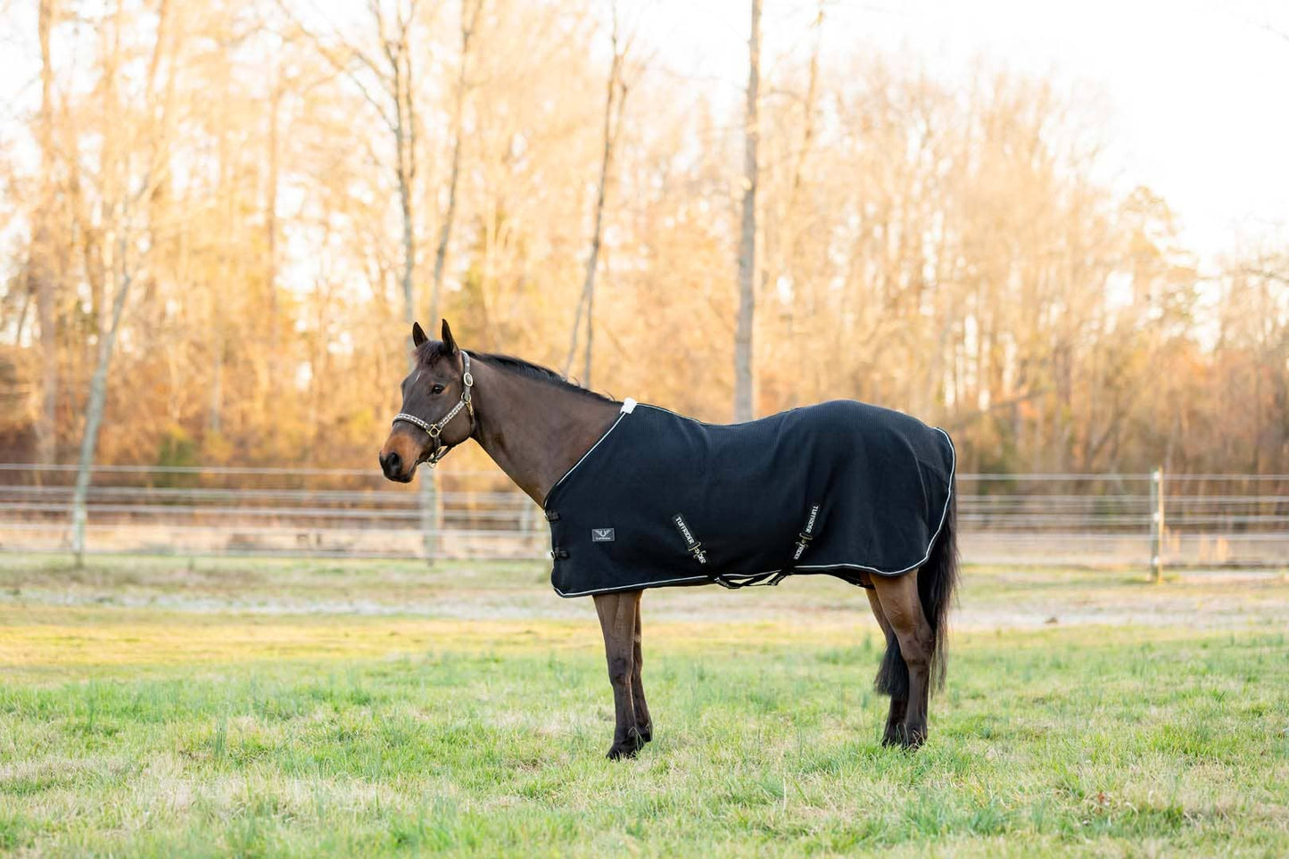 TuffRider | Cooler | Waffle Weave Standard Neck Black