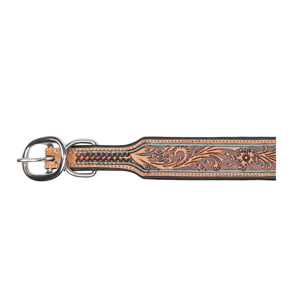 Collier à Chien | Trusted Amigo