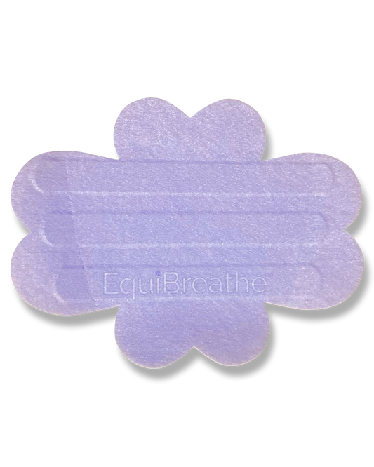 EquiBreathe™ Equine Nasal Patch - Purple