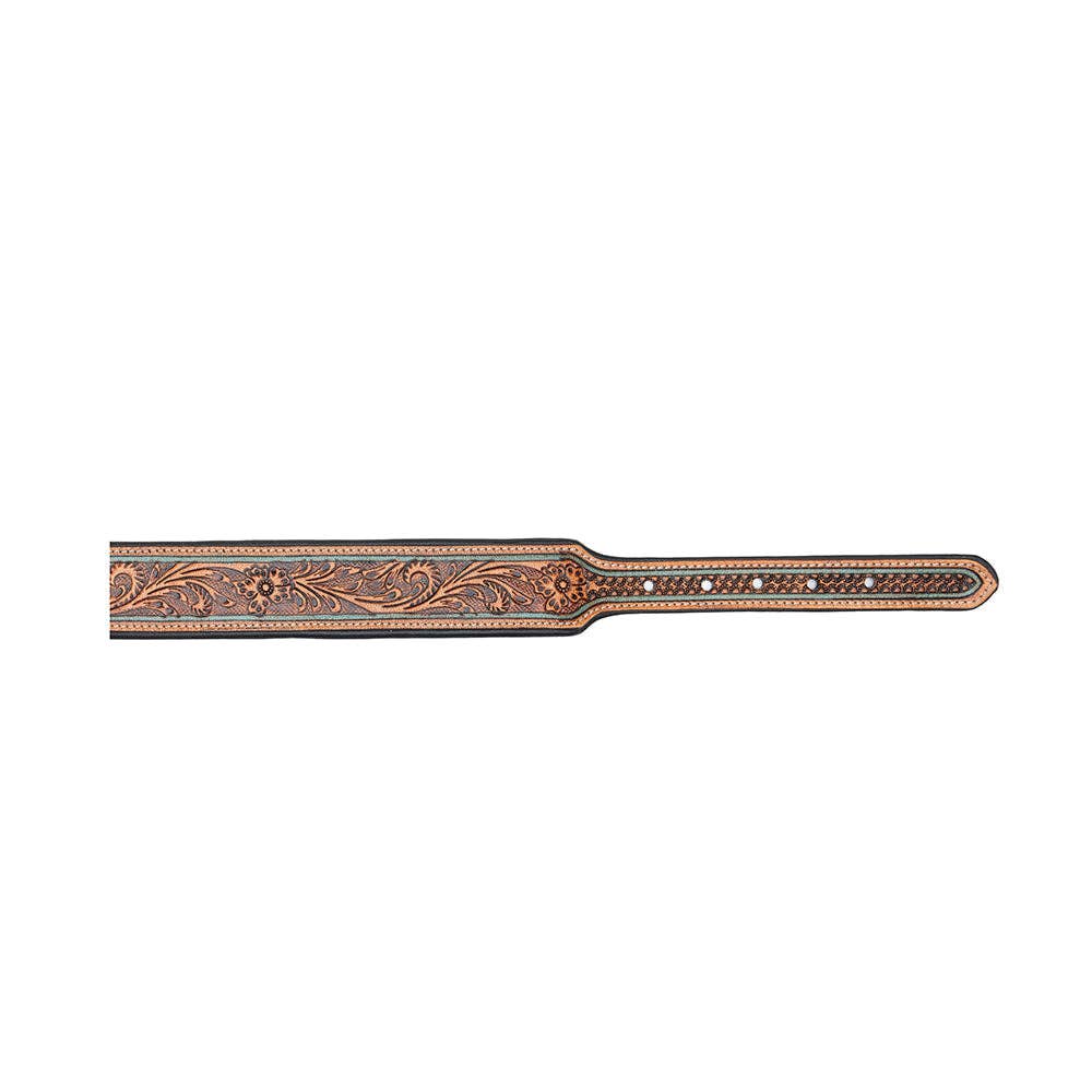 Collier à Chien | Trusted Amigo