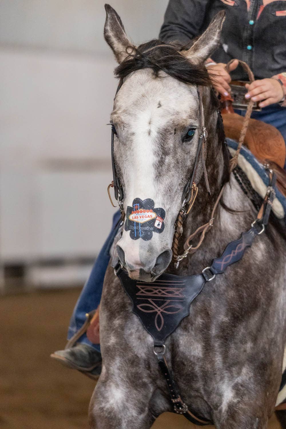 EquiBreathe™ Equine Nasal Patch - Vegas